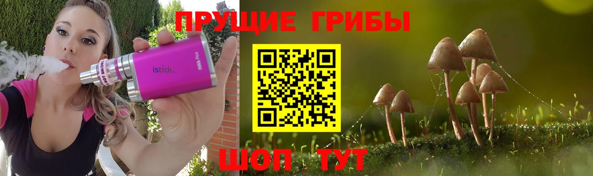 Псилоцибиновые грибы прущие грибы  Вход с VPN  Соликамск  Псилоцибиновые грибы прущие грибы 
